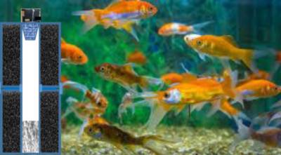 Timer-Based Power Operated